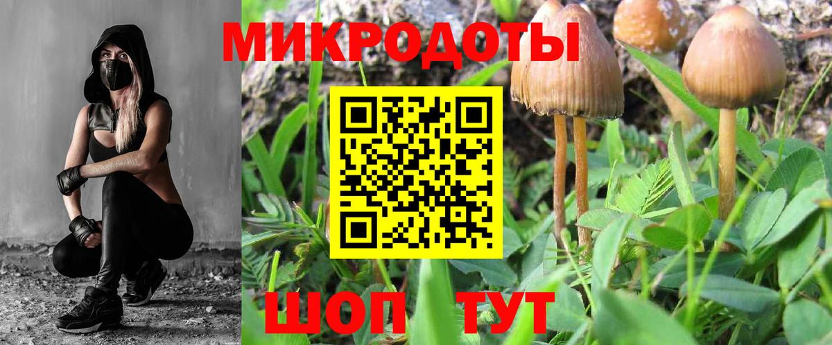 Саров  купить  цена  Вход с VPN  Псилоцибиновые грибы Psilocybe 